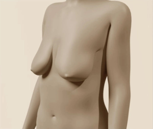 bra_style_guide_wire_free