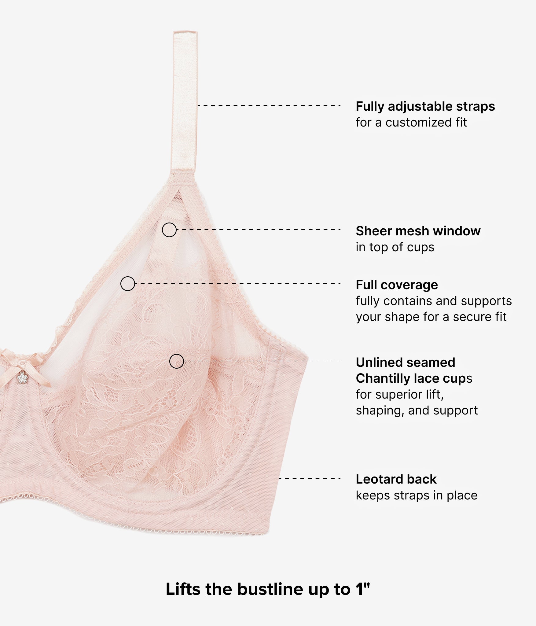 Retro Chic Full Figure Underwire Bra: Rose Dust – Wacoal